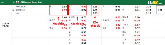 fb88-bảng kèo trận đấu Newcastle vs Brentford