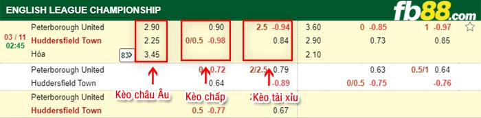 fb88-bảng kèo trận đấu Peterborough vs Huddersfield