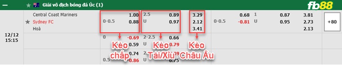 Fb88 bảng kèo trận đấu Central Coast vs Sydney FC