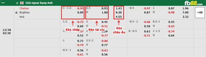 fb88-bảng kèo trận đấu Chelsea vs Brighton