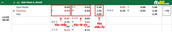 fb88-bảng kèo trận đấu Club Recife vs Flamengo