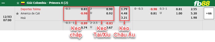 Fb88 bảng kèo trận đấu Deportes Tolima vs America de Cali