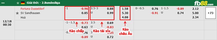 fb88-bảng kèo trận đấu Fortuna Dusseldorf vs Sandhausen