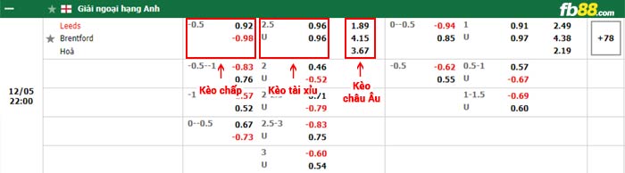 fb88-bảng kèo trận đấu Leeds vs Brentford