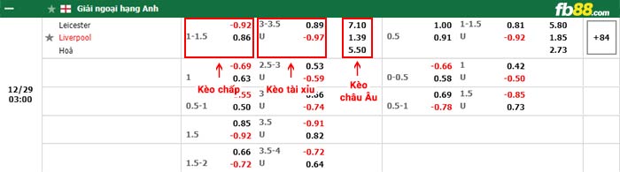 fb88-bảng kèo trận đấu Leicester vs Liverpool