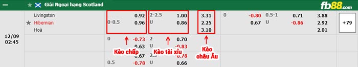 fb88-bảng kèo trận đấu Livingston vs Hibernian