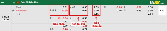 fb88-bảng kèo trận đấu Mafra vs Moreirense