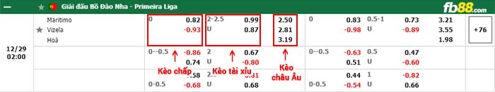 fb88-bảng kèo trận đấu Maritimo vs Vizela