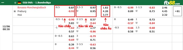 fb88-bảng kèo trận đấu Monchengladbach vs Freiburg