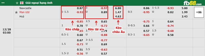 fb88-bảng kèo trận đấu Newcastle vs Man Utd