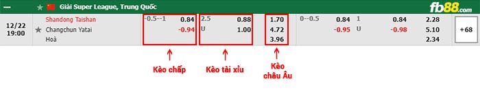 fb88-bảng kèo trận đấu Shandong Taishan vs Changchun YaTai