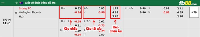 fb88-bảng kèo trận đấu Sydney FC vs Wellington Phoenix