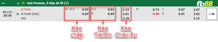 Fb88 bảng kèo trận đấu Al-Feiha vs Al-Fateh