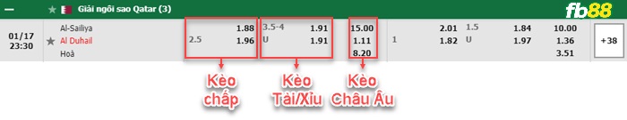 Fb88 bảng kèo trận đấu Al-Sailiya vs Al Duhail