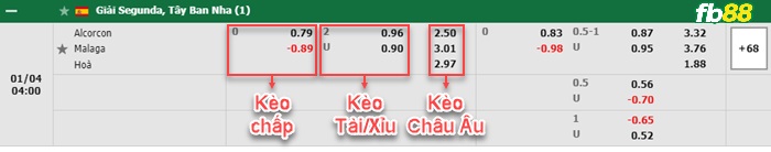 Fb88 bảng kèo trận đấu Alcorcon vs Malaga