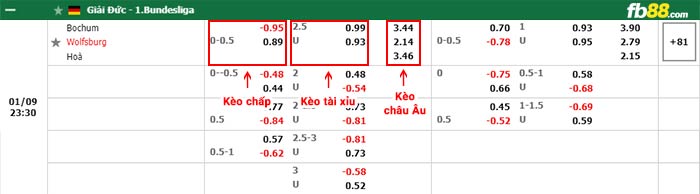 fb88-bảng kèo trận đấu Bochum vs Wolfsburg