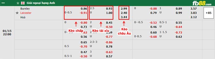 fb88-bảng kèo trận đấu Burnley vs Leicester