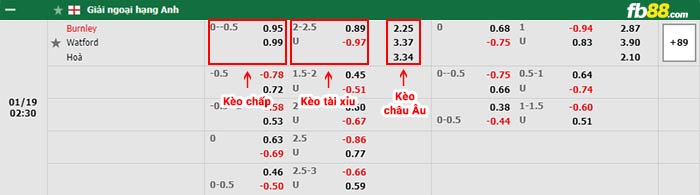 fb88-bảng kèo trận đấu Burnley vs Watford
