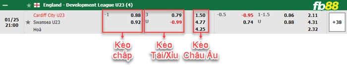 Fb88 bảng kèo trận đấu Cardiff U23 vs Swansea City U23