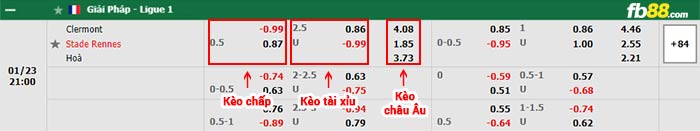 fb88-bảng kèo trận đấu Clermont vs Rennes