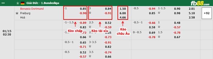 fb88-bảng kèo trận đấu Dortmund vs Freiburg