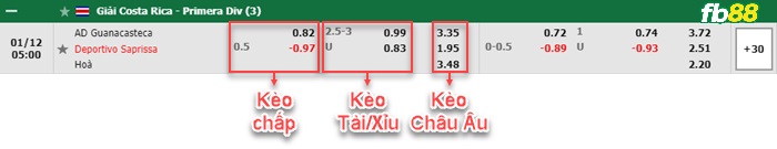 Fb88 bảng kèo trận đấu Guanacasteca vs Deportivo Saprissa