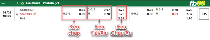 Fb88 bảng kèo trận đấu Guarani vs Sao Paulo