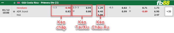 Fb88 bảng kèo trận đấu Herediano vs Jicaral Sercoba