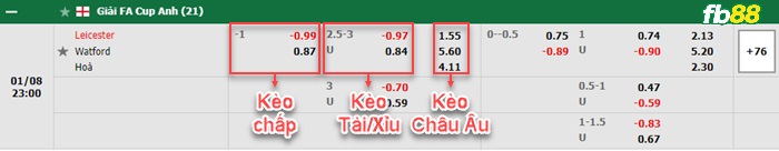 Fb88 bảng kèo trận đấu Leicester vs Watford