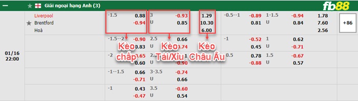 Fb88 bảng kèo trận đấu Liverpool vs Brentford