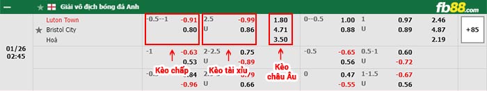 fb88-bảng kèo trận đấu Luton vs Bristol City