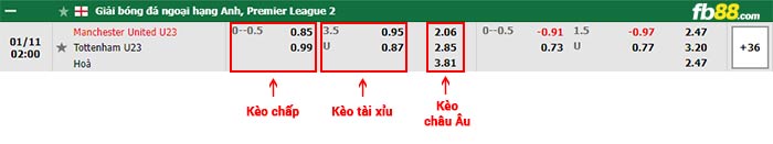 fb88-bảng kèo trận đấu Man Utd U23 vs Tottenham U23