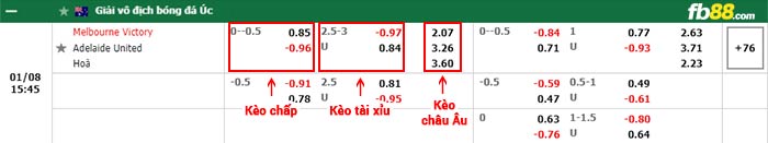 fb88-bảng kèo trận đấu Melbourne Victory vs Adelaide