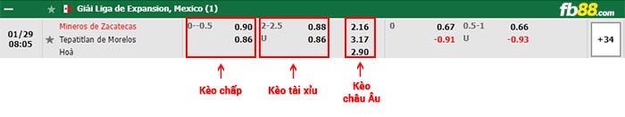 fb88-bảng kèo trận đấu Mineros vs Tepatitlan