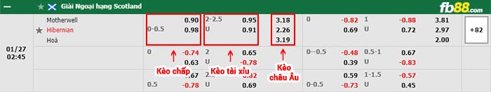 fb88-bảng kèo trận đấu Motherwell vs Hibernian