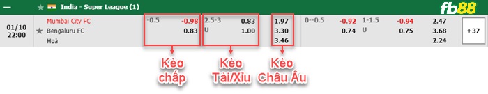 Fb88 bảng kèo trận đấu Mumbai City vs Bengaluru