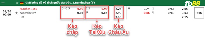 Fb88 bảng kèo trận đấu Munchen 1860 vs FC Kaiserslautern