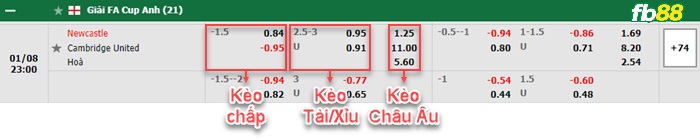 Fb88 bảng kèo trận đấu Newcastle vs Cambridge