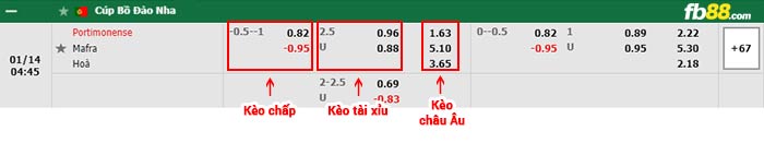 fb88-bảng kèo trận đấu Portimonense vs Mafra