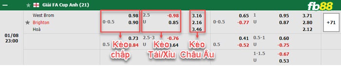 Fb88 bảng kèo trận đấu West Brom vs Brighton