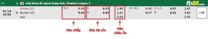 fb88-bảng kèo trận đấu Wolves U23 vs Burnley U23