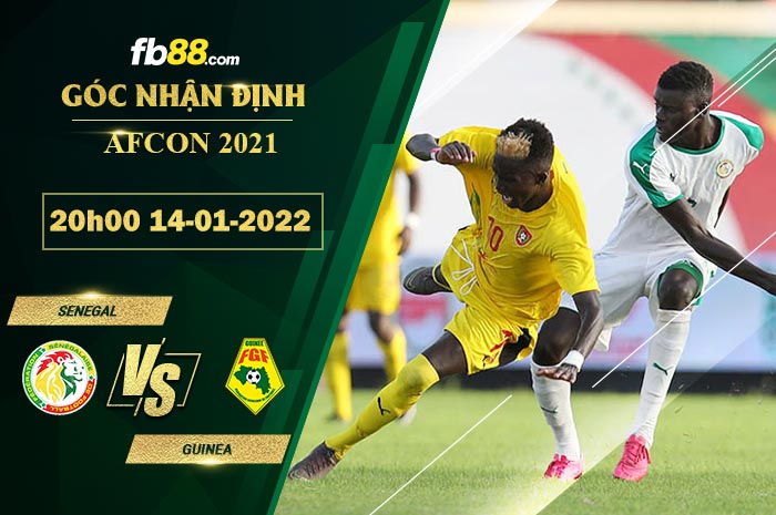 Fb88 soi kèo trận đấu Senegal vs Guinea