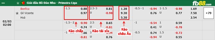 fb88-bảng kèo trận đấu Benfica vs Gil Vicente