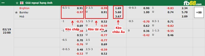 fb88-bảng kèo trận đấu Brighton vs Burnley