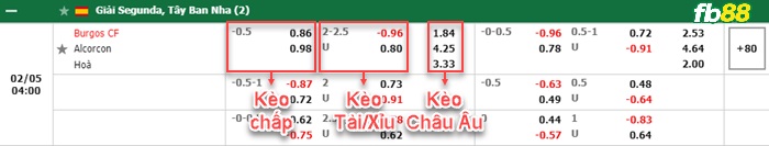 Fb88 bảng kèo trận đấu Burgos vs Alcorcon