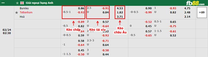 fb88-bảng kèo trận đấu Burnley vs Tottenham