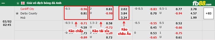 fb88-bảng kèo trận đấu Cardiff vs Derby County