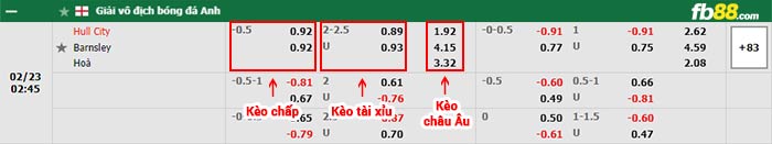 fb88-bảng kèo trận đấu Hull City vs Barnsley