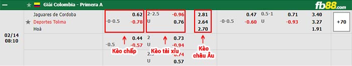 fb88-bảng kèo trận đấu Jaguares vs Tolima