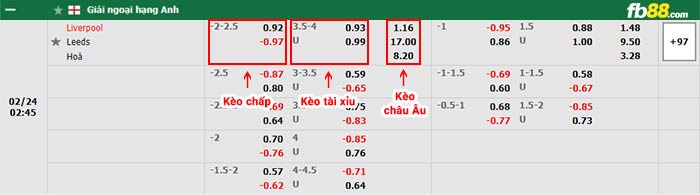 fb88-bảng kèo trận đấu Liverpool vs Leeds